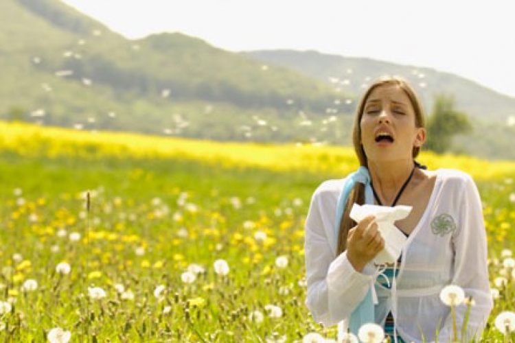 Pollenhelyzet: csaknem húszféle allergén növény szórja a pollenjeit