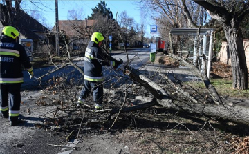 Súlyos károkat okozott a vihar Oroszlányban és környékén